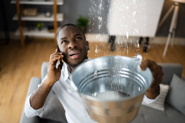  Lake City, SC Water damage restoration Pros