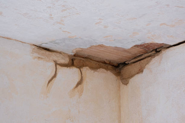 Best Local water damage restoration  in Lake City, SC