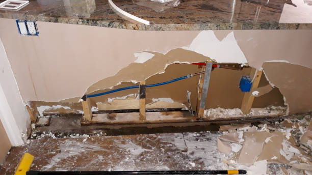 Best Water damage restoration near me  in Lake City, SC