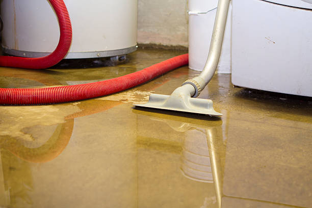 Best Basement water damage restoration  in Lake City, SC