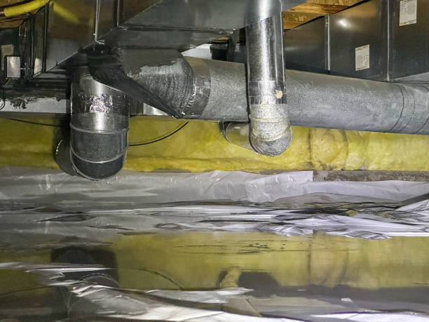 Sewage cleanup and water damage restoration in SC