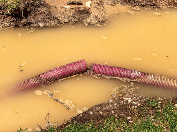 Best Residential water damage restoration  in Lake City, SC